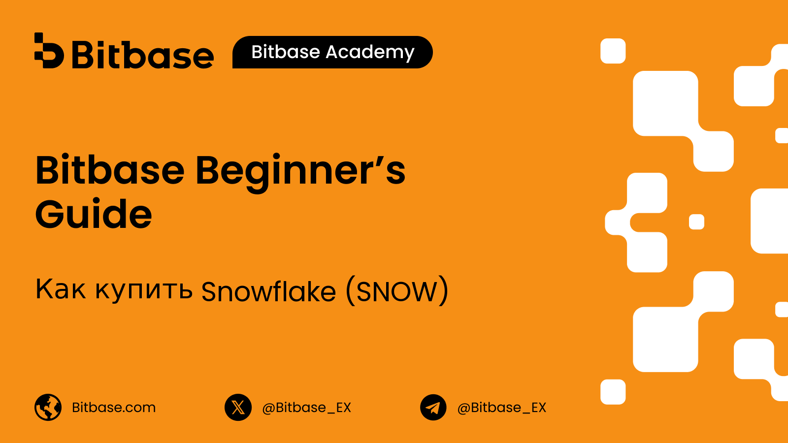 Как купить акции Snowflake (SNOW): способы торговли, издержки и риски