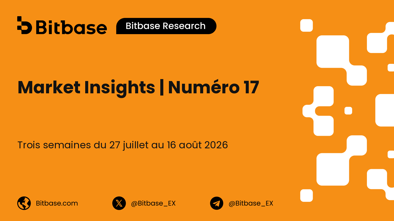Market Insights | Numéro 17