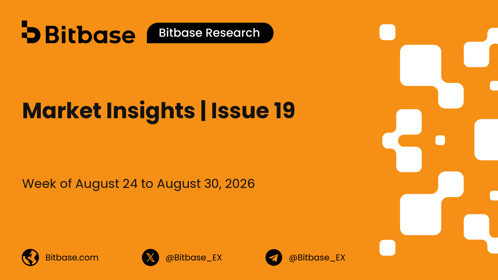 Market Insights | Issue 19