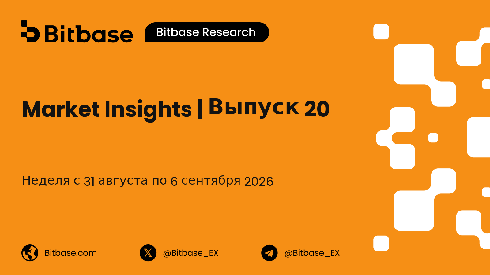 Market Insights | Выпуск 20