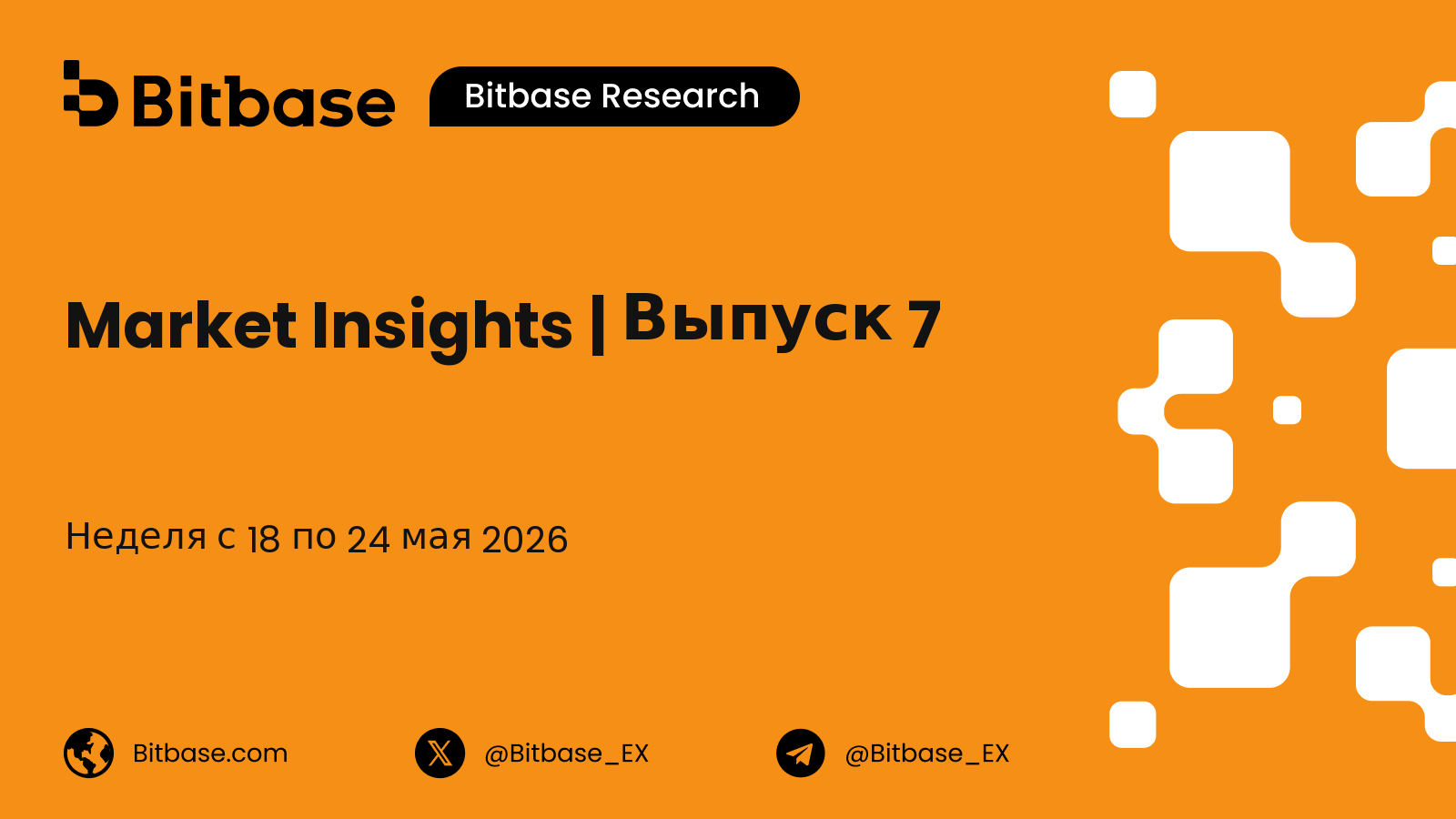 Market Insights | Выпуск 7