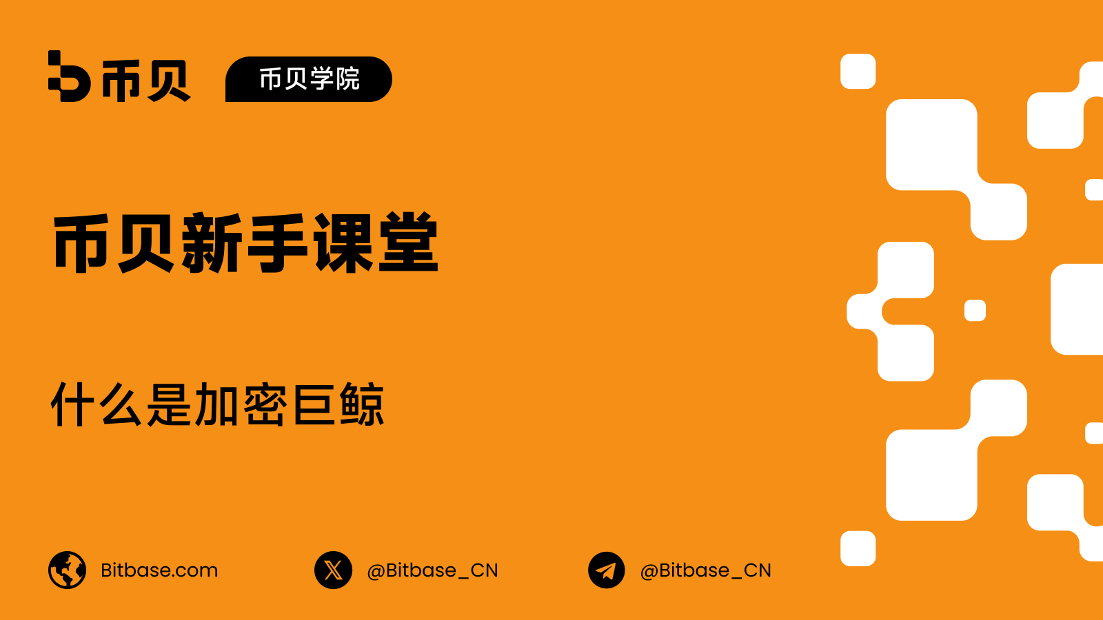 什么是加密巨鲸（Crypto Whale）