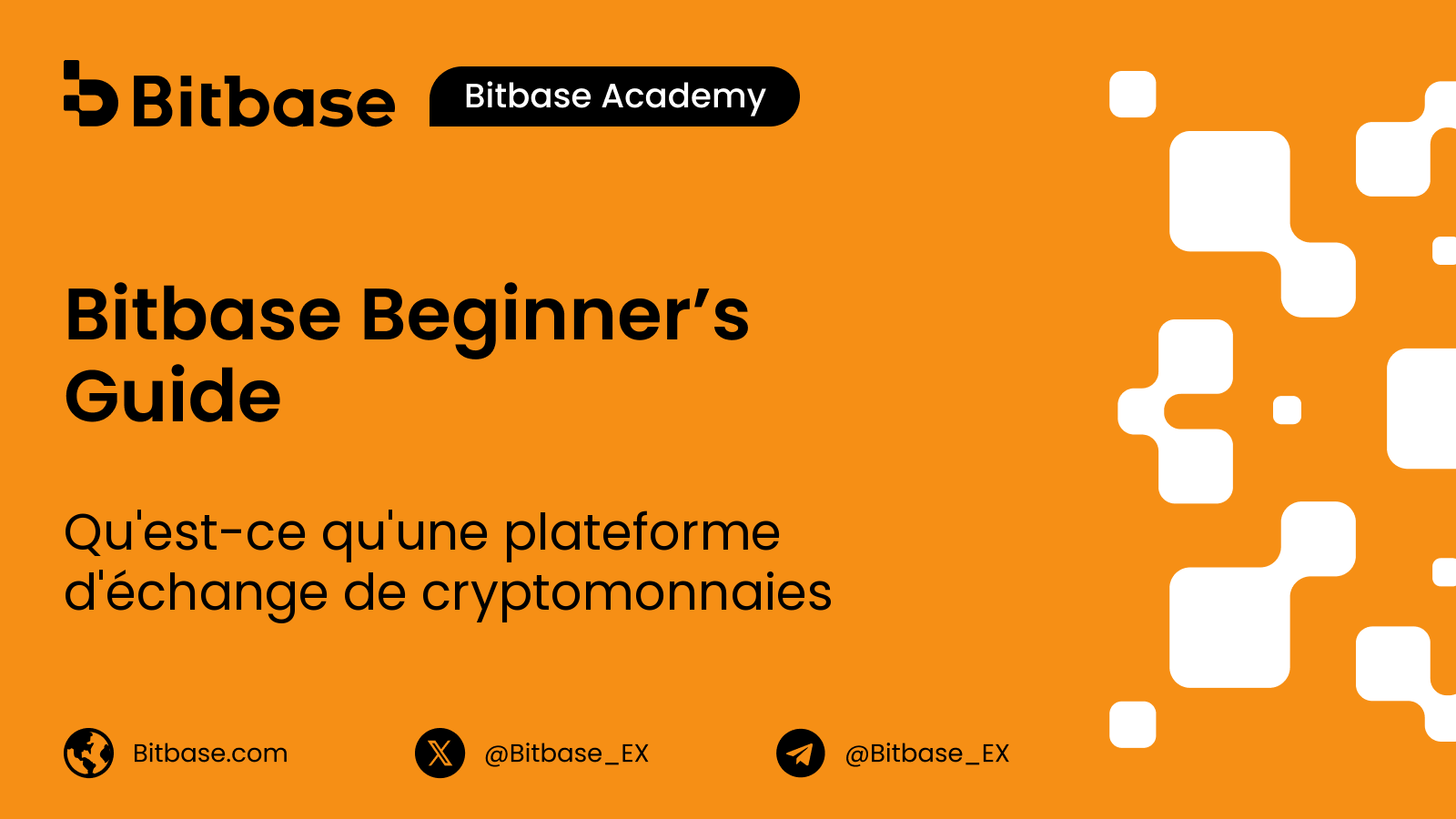 Qu'est-ce qu'une plateforme d'échange de cryptomonnaies : CEX ou DEX