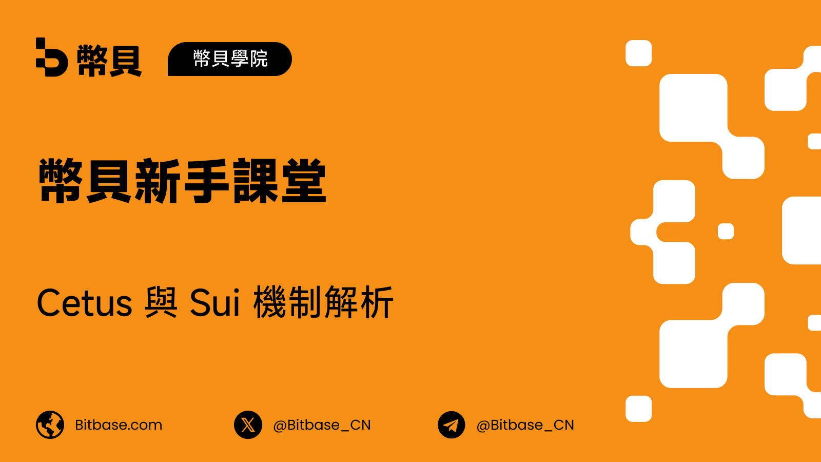 Cetus 與 Sui 機制解析