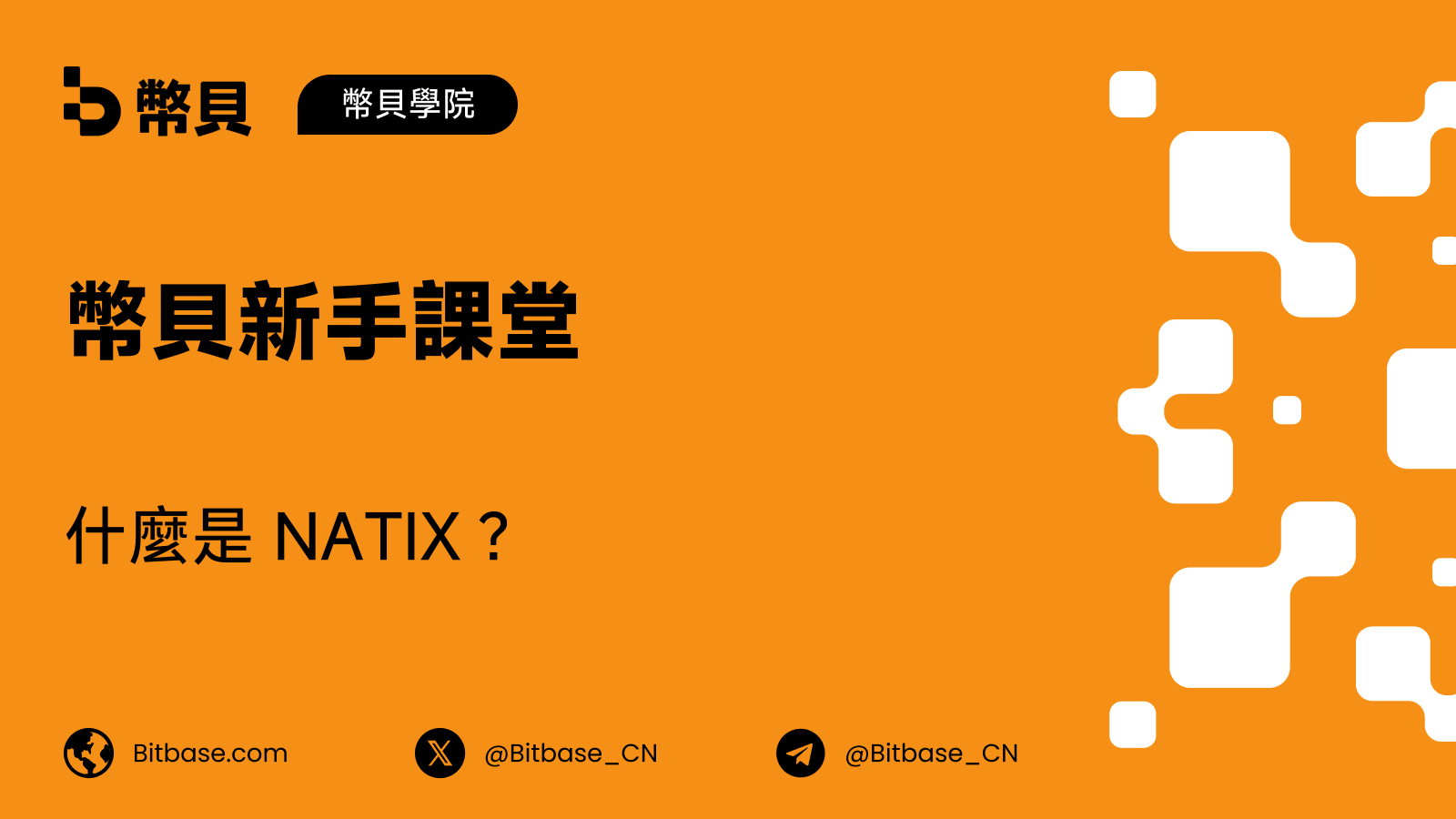 什麼是 NATIX?