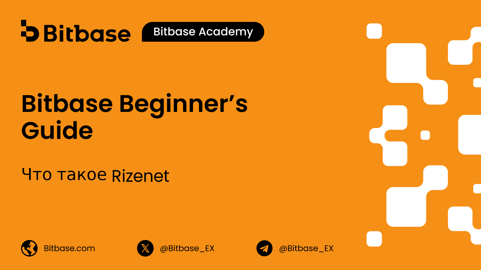 Что такое Rizenet: T-RIZE, RIZE и границы токенизации
