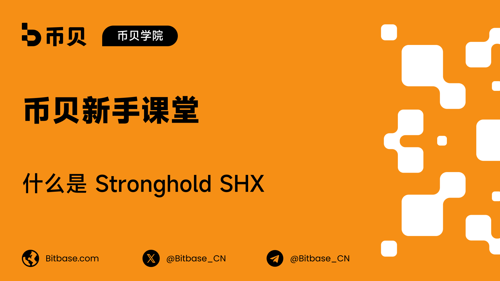 什么是 Stronghold SHX:支付生态与代币介绍