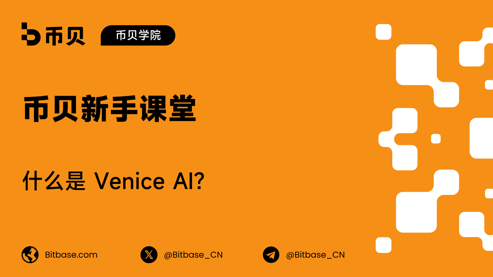 什么是 Venice AI?
